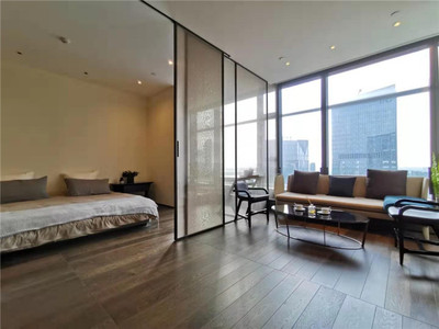 南京河西 德基世贸中心 公寓  精装修现房 67-200平方  均价39800 总价280万起